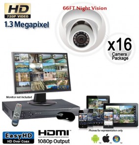 1.3 Megapixel 16 Dome Camera System