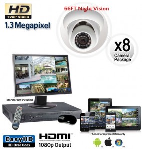 1.3 Megapixel 8 Dome Camera System