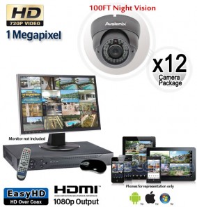 HD 12 Vandal Proof Dome Camera System