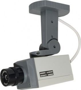 Indoor Dummy Camera