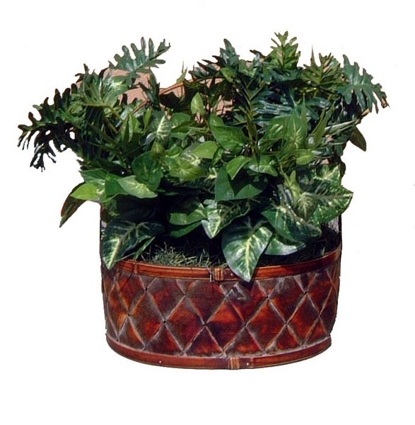 Hidden Plant Camera Wired Hidden Camera