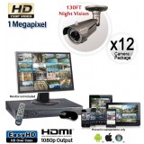 Megapixel Outdoor Camera System, 12 Bullet Cameras 130ft Night Vision