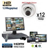 1.3 Megapixel 12 Dome Camera System