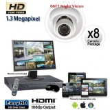 1.3 Megapixel 8 Dome Camera System