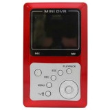 Portable DVR with LCD