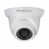 2MP Dome IP Network Camera Night Vision POE