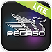 pegaso-lite